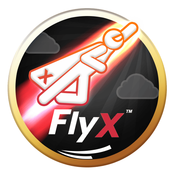 FlyX